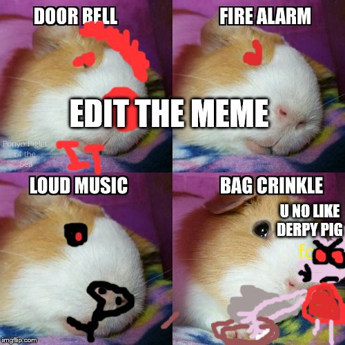 edit the meme | EDIT THE MEME; U NO LIKE DERPY PIG | image tagged in edit the meme,derpy pig,derpy peppa,guinea pig,memes,funny | made w/ Imgflip meme maker