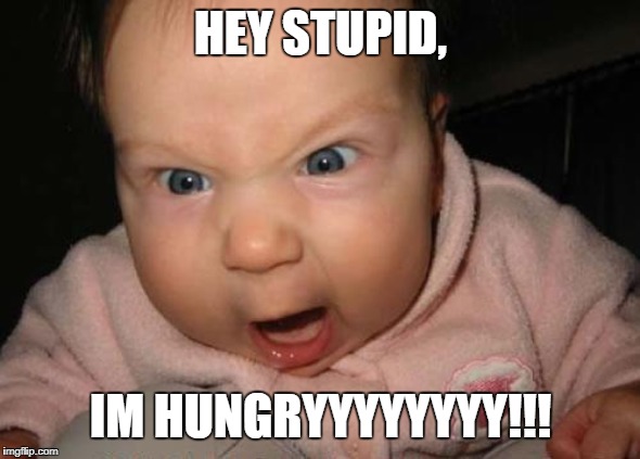 Evil Baby | HEY STUPID, IM HUNGRYYYYYYYY!!! | image tagged in memes,evil baby | made w/ Imgflip meme maker