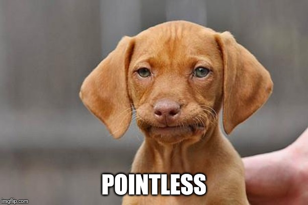 Dissapointed puppy | POINTLESS | image tagged in dissapointed puppy | made w/ Imgflip meme maker
