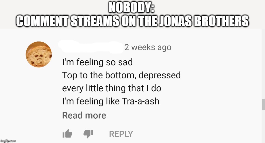 LMAO | NOBODY: 
COMMENT STREAMS ON THE JONAS BROTHERS | image tagged in jonas brothers | made w/ Imgflip meme maker