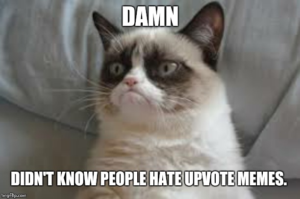 Grumpy cat | DAMN DIDN'T KNOW PEOPLE HATE UPVOTE MEMES. | image tagged in grumpy cat | made w/ Imgflip meme maker