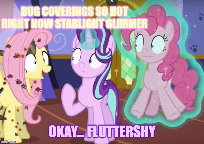 Fluttershy always dresses in style | BUG COVERINGS SO HOT RIGHT NOW STARLIGHT GLIMMER; OKAY... FLUTTERSHY | image tagged in mugatu so hot right now,my little pony friendship is magic,fluttershy,starlight glimmer | made w/ Imgflip meme maker