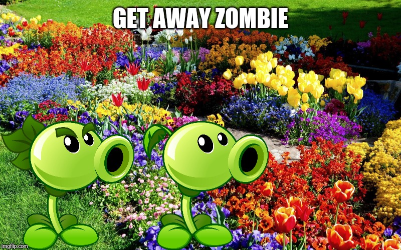 Flower garden  | GET AWAY ZOMBIE | image tagged in flower garden | made w/ Imgflip meme maker