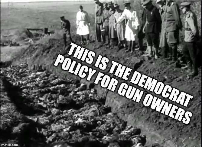 socialist genocide | THIS IS THE DEMOCRAT POLICY FOR GUN OWNERS | image tagged in socialist genocide | made w/ Imgflip meme maker