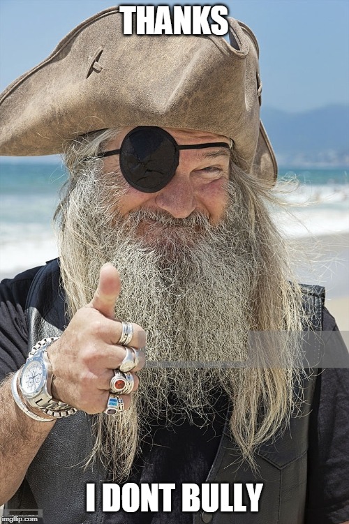 PIRATE THUMBS UP | THANKS I DONT BULLY | image tagged in pirate thumbs up | made w/ Imgflip meme maker