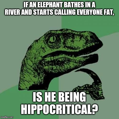 Philosoraptor | IF AN ELEPHANT BATHES IN A RIVER AND STARTS CALLING EVERYONE FAT, IS HE BEING HIPPOCRITICAL? | image tagged in memes,philosoraptor | made w/ Imgflip meme maker