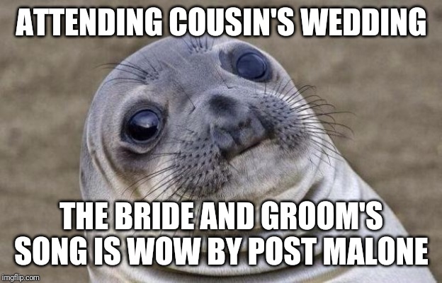 Awkward Moment Sealion Meme | ATTENDING COUSIN'S WEDDING; THE BRIDE AND GROOM'S SONG IS WOW BY POST MALONE | image tagged in memes,awkward moment sealion,AdviceAnimals | made w/ Imgflip meme maker
