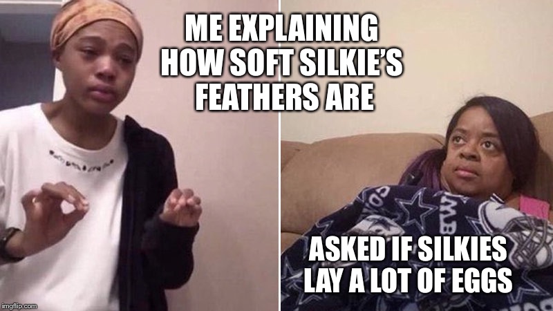 Me explaining to my mom | ME EXPLAINING 
HOW SOFT SILKIE’S 
FEATHERS ARE; ASKED IF SILKIES LAY A LOT OF EGGS | image tagged in me explaining to my mom | made w/ Imgflip meme maker