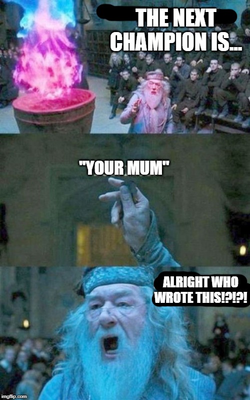 the next champion is.... | THE NEXT CHAMPION IS... ''YOUR MUM''; ALRIGHT WHO WROTE THIS!?!?! | image tagged in harry potter meme | made w/ Imgflip meme maker