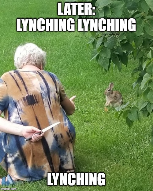 grandma hiding knife rabbit | LATER: LYNCHING LYNCHING LYNCHING | image tagged in grandma hiding knife rabbit | made w/ Imgflip meme maker