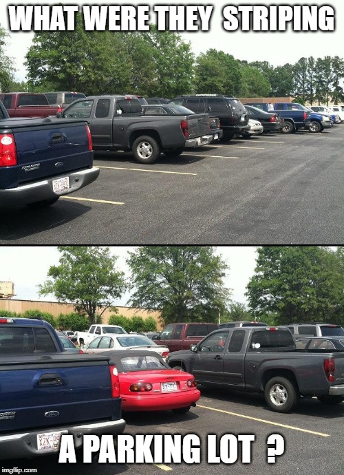 Car parking | WHAT WERE THEY  STRIPING A PARKING LOT  ? | image tagged in car parking | made w/ Imgflip meme maker