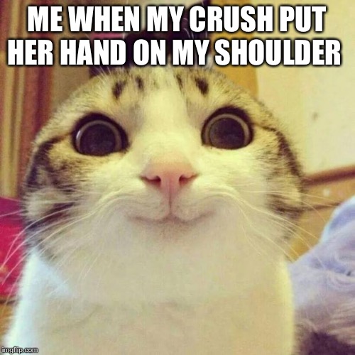 Smiling Cat Meme | ME WHEN MY CRUSH PUT HER HAND ON MY SHOULDER | image tagged in memes,smiling cat | made w/ Imgflip meme maker