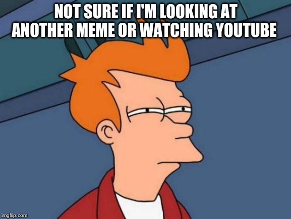Futurama Fry Meme | NOT SURE IF I'M LOOKING AT ANOTHER MEME OR WATCHING YOUTUBE | image tagged in memes,futurama fry | made w/ Imgflip meme maker