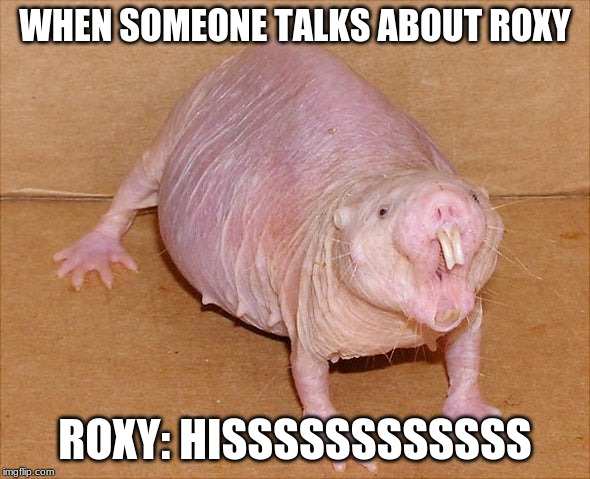 #ROXYRULES | WHEN SOMEONE TALKS ABOUT ROXY; ROXY: HISSSSSSSSSSSS | image tagged in funny,memes,crazy,funny meme | made w/ Imgflip meme maker