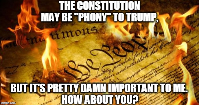 Just a piece of paper | THE CONSTITUTION MAY BE "PHONY" TO TRUMP, BUT IT'S PRETTY DAMN IMPORTANT TO ME. 
HOW ABOUT YOU? | image tagged in constitution in flames,trump,constitution,phony | made w/ Imgflip meme maker