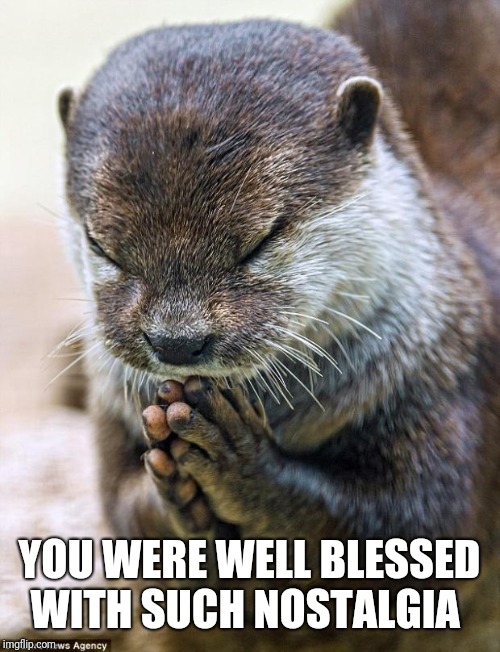 Thank you Lord Otter | YOU WERE WELL BLESSED WITH SUCH NOSTALGIA | image tagged in thank you lord otter | made w/ Imgflip meme maker