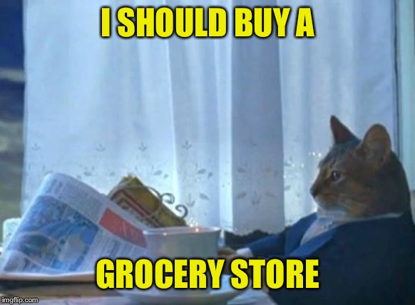 Cat newspaper | I SHOULD BUY A GROCERY STORE | image tagged in cat newspaper | made w/ Imgflip meme maker