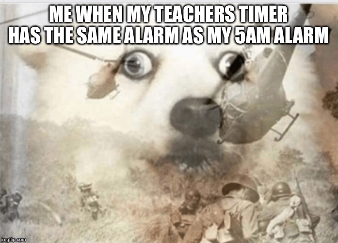 PTSD dog | ME WHEN MY TEACHERS TIMER HAS THE SAME ALARM AS MY 5AM ALARM | image tagged in ptsd dog | made w/ Imgflip meme maker