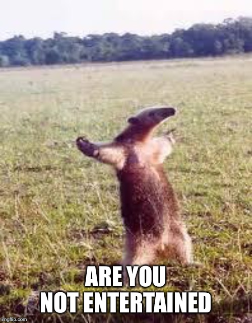 So What Anteater | ARE YOU NOT ENTERTAINED | image tagged in so what anteater | made w/ Imgflip meme maker