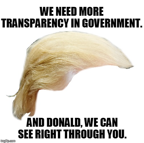 WE NEED MORE TRANSPARENCY IN GOVERNMENT. AND DONALD, WE CAN SEE RIGHT THROUGH YOU. | image tagged in trump,transparency,government | made w/ Imgflip meme maker
