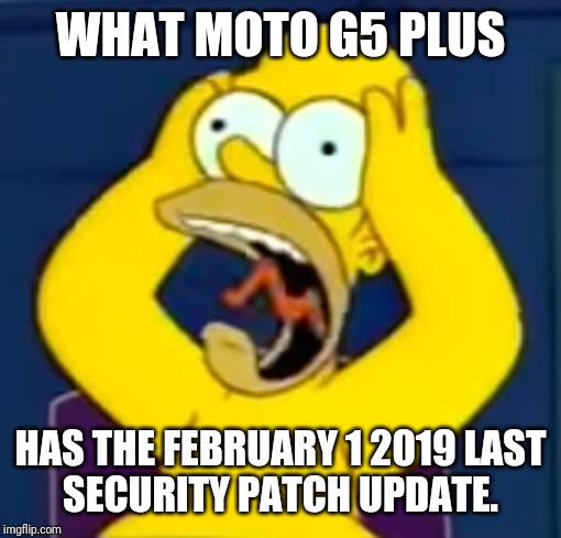Stress HomerSimpson | WHAT MOTO G5 PLUS; HAS THE FEBRUARY 1 2019 LAST
SECURITY PATCH UPDATE. | image tagged in stress homersimpson | made w/ Imgflip meme maker