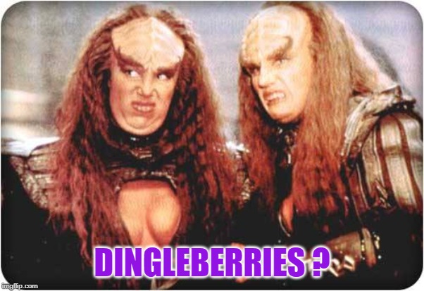 klingon females | DINGLEBERRIES ? | image tagged in klingon females | made w/ Imgflip meme maker