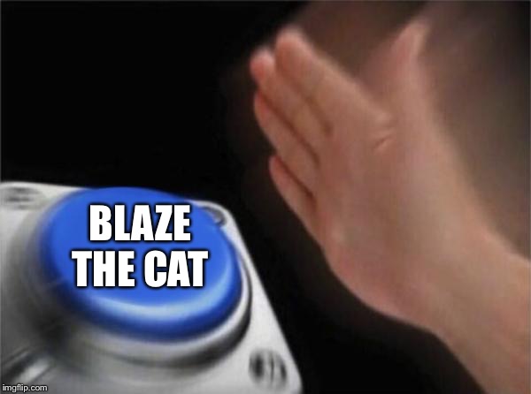 Blank Nut Button Meme | BLAZE THE CAT | image tagged in memes,blank nut button | made w/ Imgflip meme maker