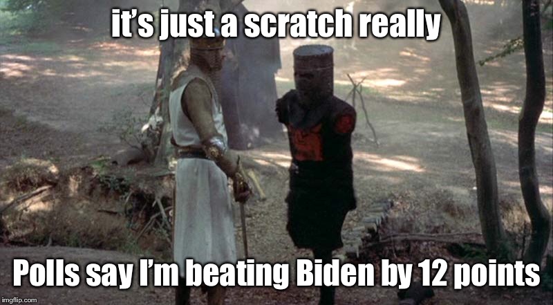 it’s just a scratch really Polls say I’m beating Biden by 12 points | made w/ Imgflip meme maker