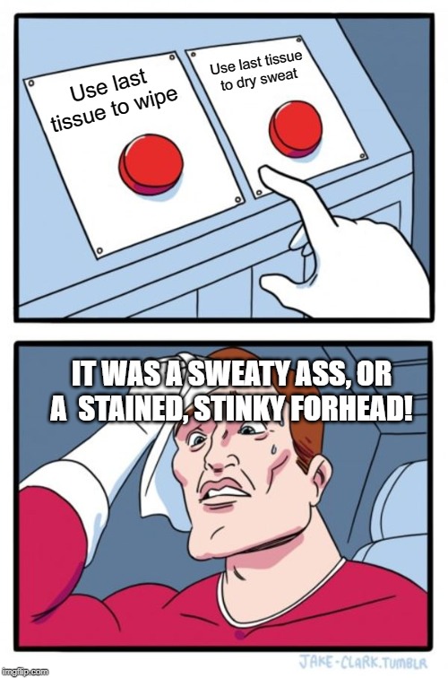 Two Buttons | Use last tissue to dry sweat; Use last tissue to wipe; IT WAS A SWEATY ASS, OR A  STAINED, STINKY FORHEAD! | image tagged in memes,two buttons | made w/ Imgflip meme maker