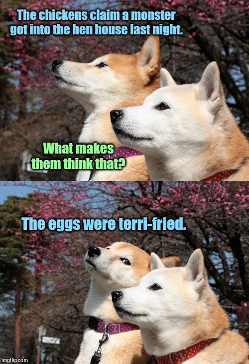 Something in the hen house | The chickens claim a monster got into the hen house last night. What makes them think that? The eggs were terri-fried. | image tagged in bad pun dogs,chickens,eggs,scary,humor | made w/ Imgflip meme maker