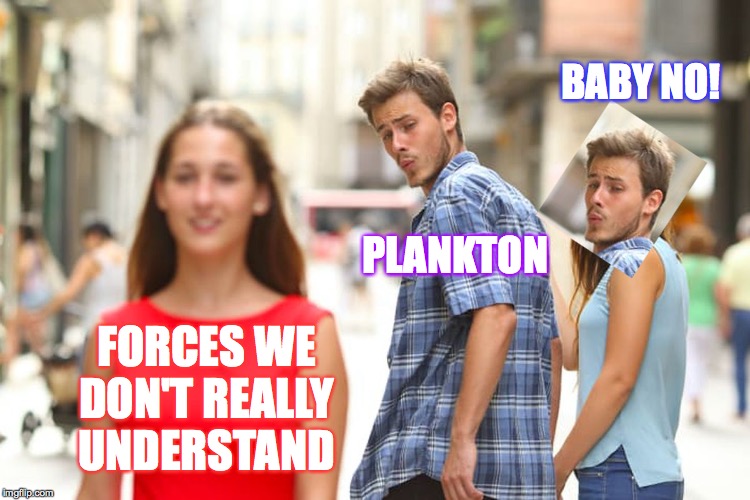 Distracted Boyfriend Meme | FORCES WE DON'T REALLY UNDERSTAND PLANKTON BABY NO! | image tagged in memes,distracted boyfriend | made w/ Imgflip meme maker