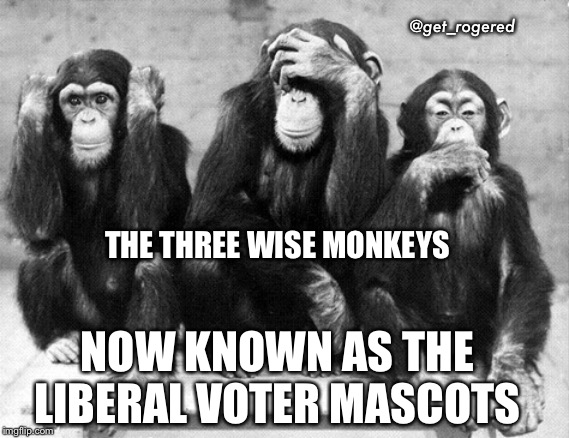 Three wise monkeys | @get_rogered; THE THREE WISE MONKEYS; NOW KNOWN AS THE LIBERAL VOTER MASCOTS | image tagged in three wise monkeys | made w/ Imgflip meme maker