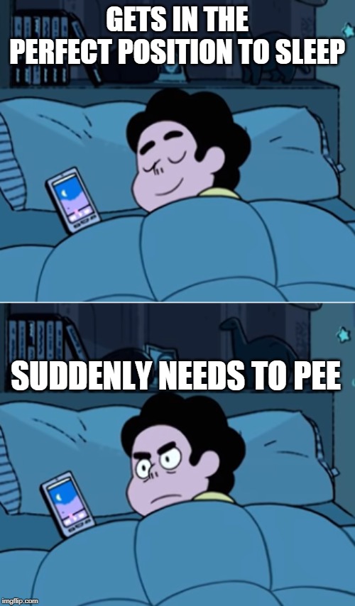 Steven | GETS IN THE PERFECT POSITION TO SLEEP; SUDDENLY NEEDS TO PEE | image tagged in steven | made w/ Imgflip meme maker