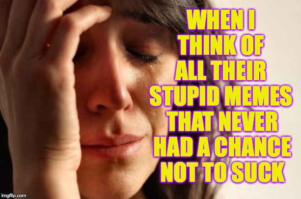 First World Problems Meme | WHEN I THINK OF ALL THEIR STUPID MEMES THAT NEVER HAD A CHANCE NOT TO SUCK | image tagged in memes,first world problems | made w/ Imgflip meme maker