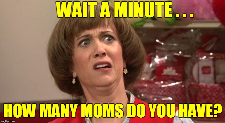 WAIT A MINUTE . . . HOW MANY MOMS DO YOU HAVE? | made w/ Imgflip meme maker