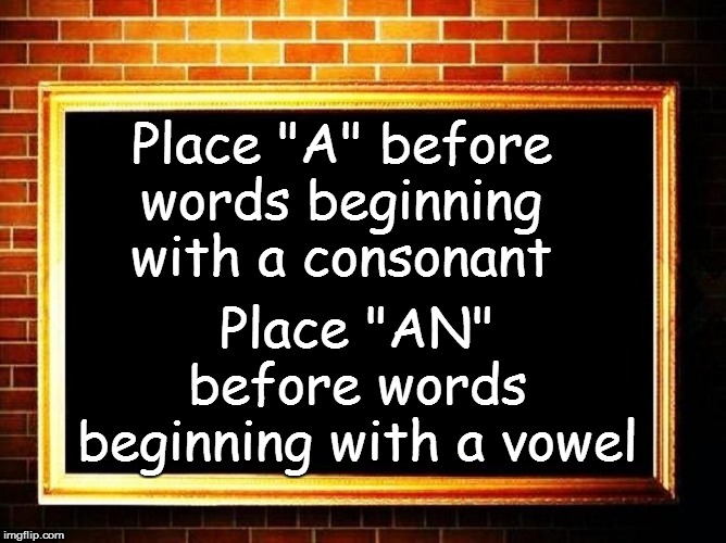 Place "A" before words beginning with a consonant Place "AN" before words beginning with a vowel | made w/ Imgflip meme maker