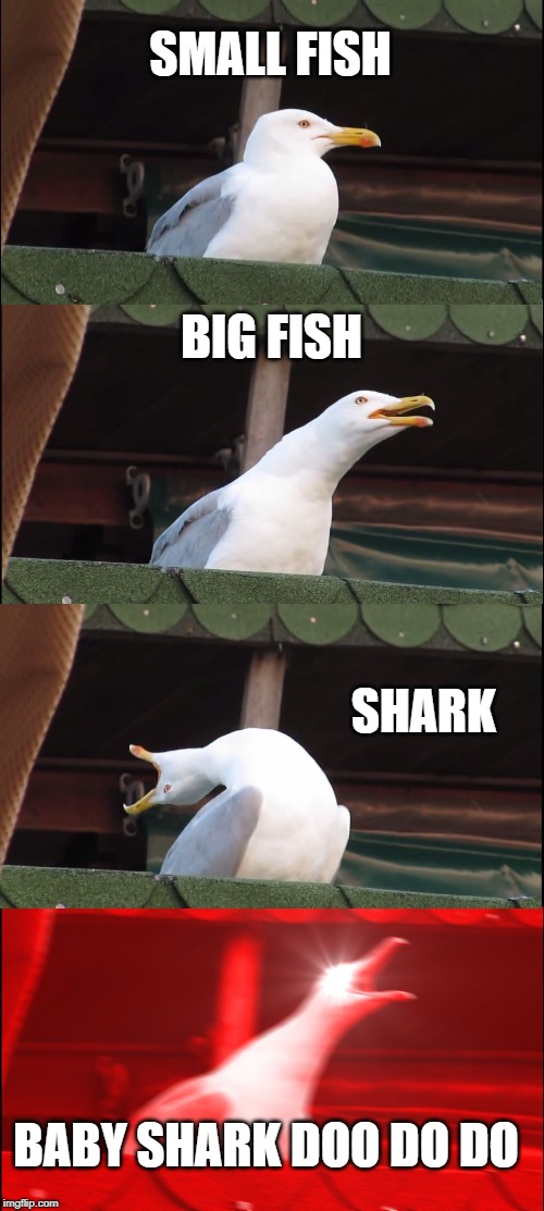 Inhaling Seagull Meme | SMALL FISH; BIG FISH; SHARK; BABY SHARK DOO DO DO | image tagged in memes,inhaling seagull | made w/ Imgflip meme maker