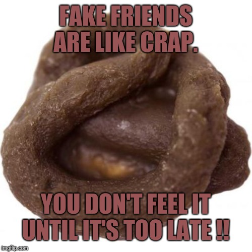 FAKE FRIENDS ARE LIKE CRAP. YOU DON'T FEEL IT UNTIL IT'S TOO LATE !! | image tagged in fake friends,meme | made w/ Imgflip meme maker