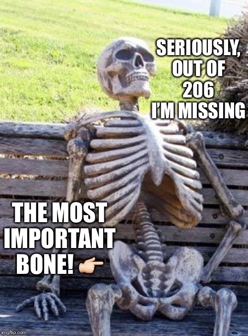 Waiting Skeleton Meme | SERIOUSLY, OUT OF 206 I’M MISSING; THE MOST IMPORTANT BONE! 👉🏻 | image tagged in memes,waiting skeleton | made w/ Imgflip meme maker