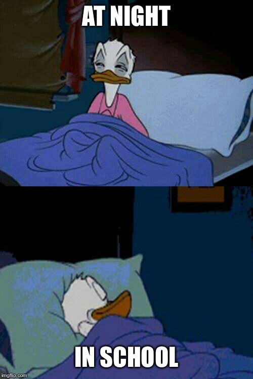 sleepy donald duck in bed | AT NIGHT IN SCHOOL | image tagged in sleepy donald duck in bed | made w/ Imgflip meme maker