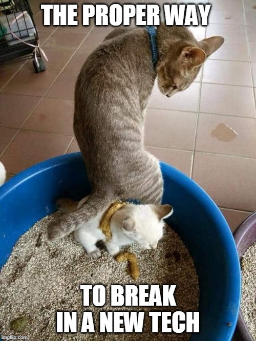 kitty poop | THE PROPER WAY; TO BREAK IN A NEW TECH | image tagged in kitty poop,funny,new guy,work | made w/ Imgflip meme maker
