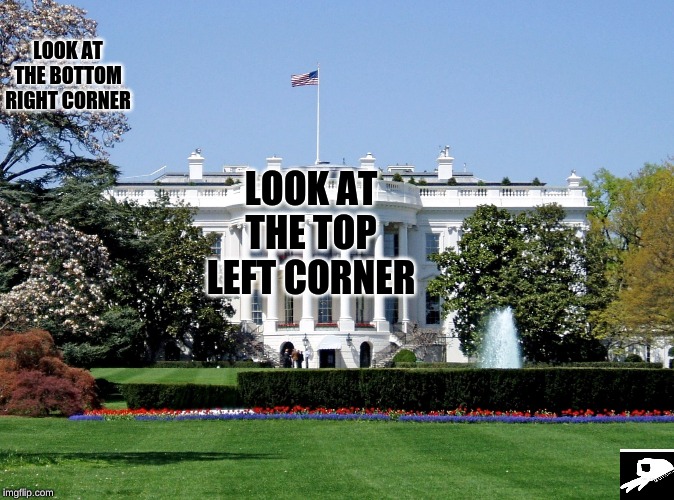 White House | LOOK AT THE BOTTOM RIGHT CORNER; LOOK AT THE TOP LEFT CORNER | image tagged in white house | made w/ Imgflip meme maker