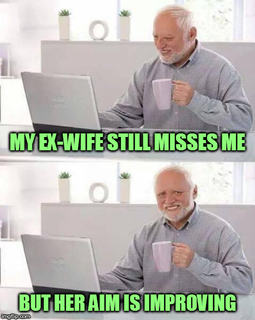 One way or another, she's always had her sights set on me | MY EX-WIFE STILL MISSES ME; BUT HER AIM IS IMPROVING | image tagged in memes,hide the pain harold,fun | made w/ Imgflip meme maker