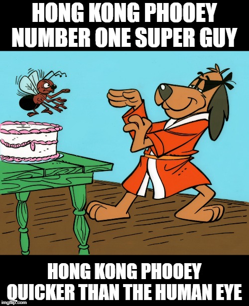 Hong Kong Phooey | HONG KONG PHOOEY
NUMBER ONE SUPER GUY; HONG KONG PHOOEY
QUICKER THAN THE HUMAN EYE | image tagged in classic cartoon | made w/ Imgflip meme maker