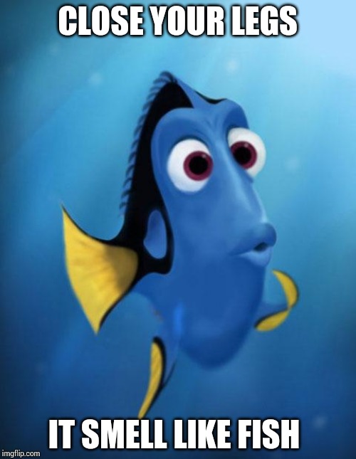 Dory | CLOSE YOUR LEGS; IT SMELL LIKE FISH | image tagged in dory | made w/ Imgflip meme maker