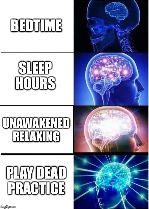 Expanding Brain | BEDTIME; SLEEP HOURS; UNAWAKENED RELAXING; PLAY DEAD PRACTICE | image tagged in memes,expanding brain | made w/ Imgflip meme maker