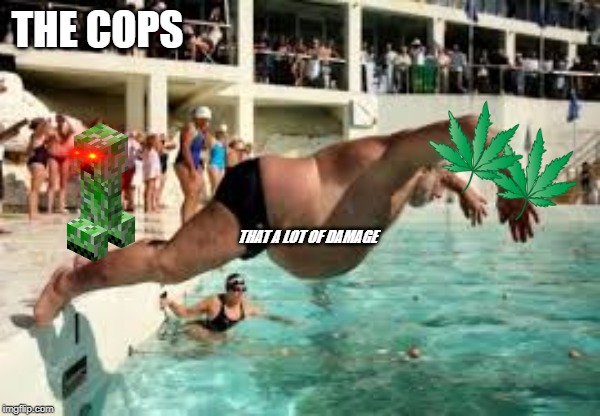 THE COPS; THAT A LOT OF DAMAGE | image tagged in flop,fat | made w/ Imgflip meme maker