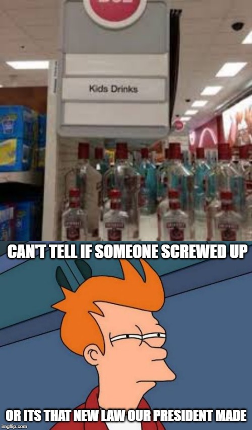 you had one job |  CAN'T TELL IF SOMEONE SCREWED UP; OR ITS THAT NEW LAW OUR PRESIDENT MADE | image tagged in memes,futurama fry | made w/ Imgflip meme maker