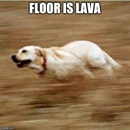 Floor is lava | image tagged in doge | made w/ Imgflip meme maker