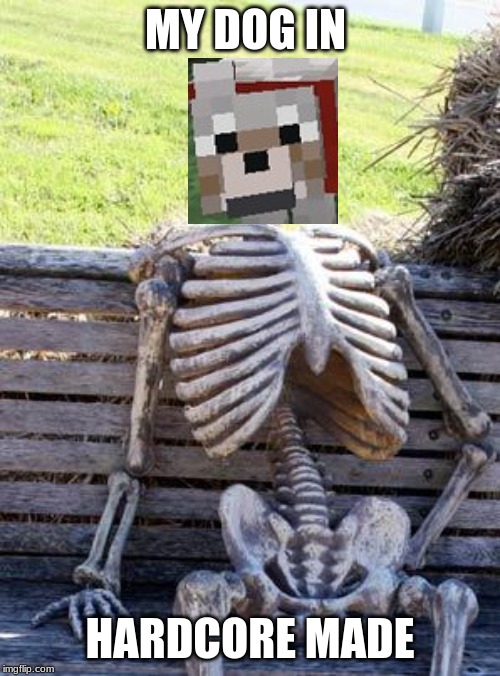 Waiting Skeleton Meme | MY DOG IN; HARDCORE MADE | image tagged in memes,waiting skeleton | made w/ Imgflip meme maker